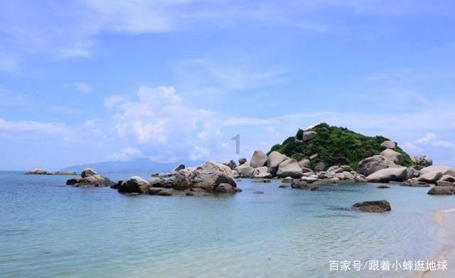 拯救枯树